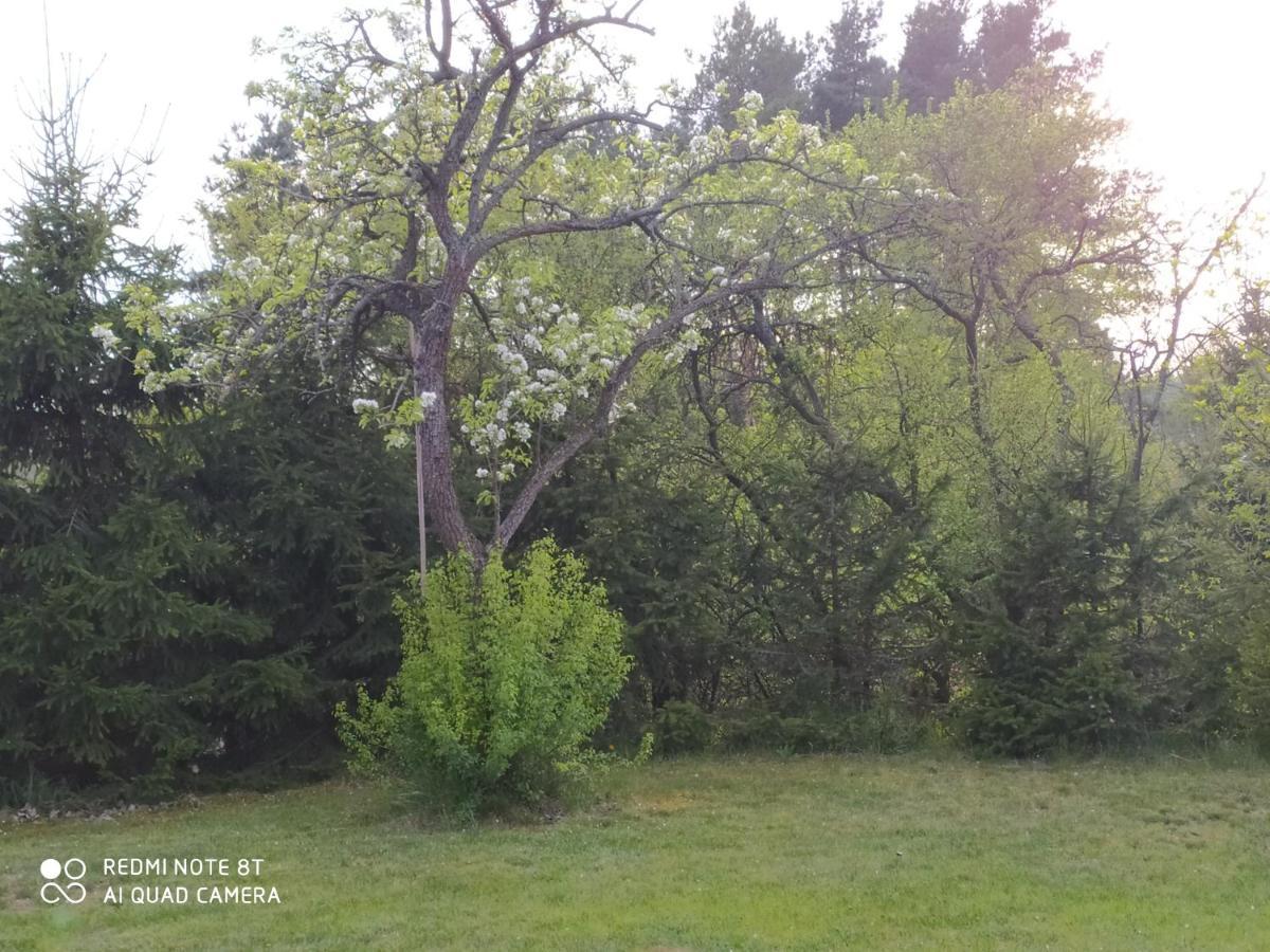 Dolistowka Apartamenty, Pole Namiotowe, Balia Z Jacuzzi, Ogrod Warzywny Dla Gosci, Plac Zabaw Dla Dzieci Goniadz Exterior photo