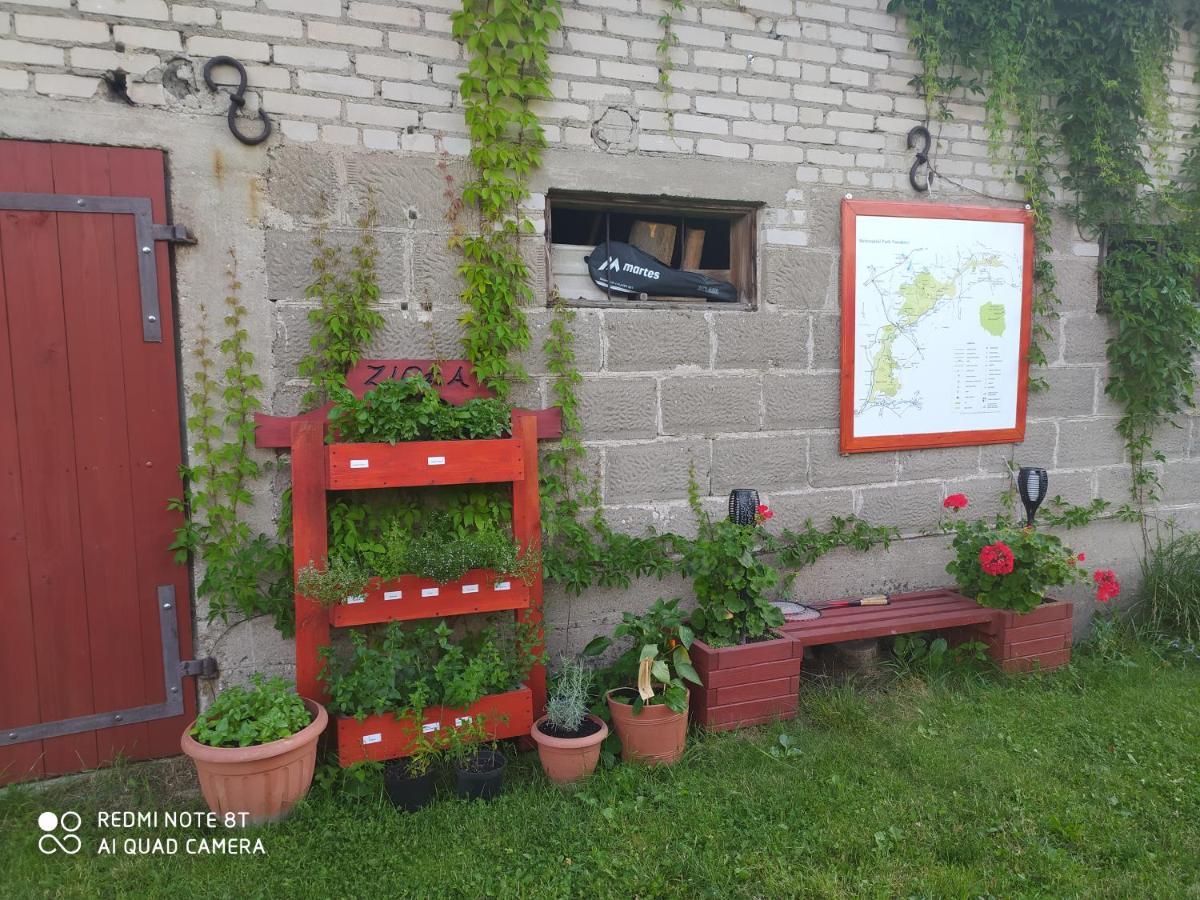 Dolistowka Apartamenty, Pole Namiotowe, Balia Z Jacuzzi, Ogrod Warzywny Dla Gosci, Plac Zabaw Dla Dzieci Goniadz Exterior photo