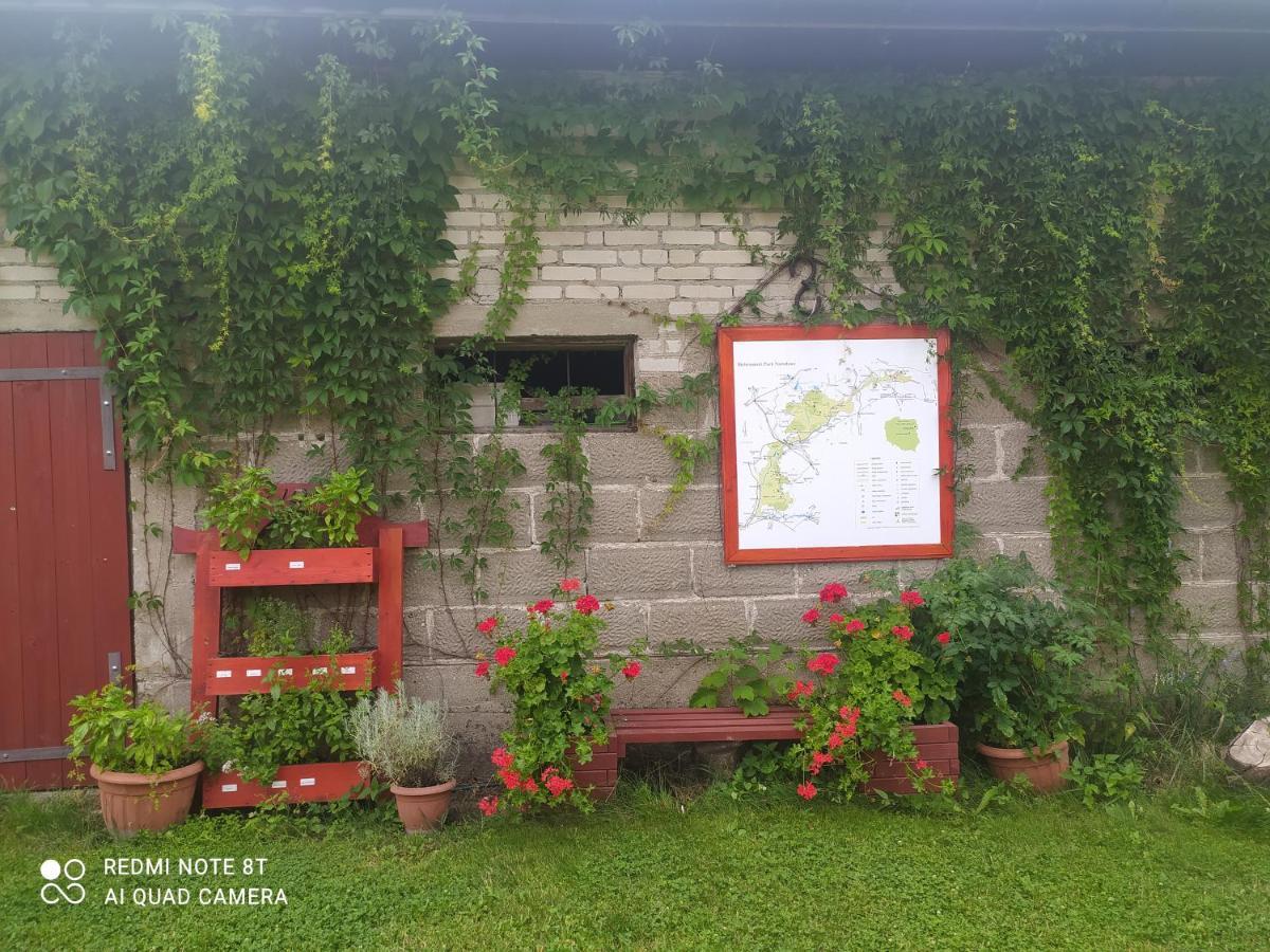 Dolistowka Apartamenty, Pole Namiotowe, Balia Z Jacuzzi, Ogrod Warzywny Dla Gosci, Plac Zabaw Dla Dzieci Goniadz Exterior photo