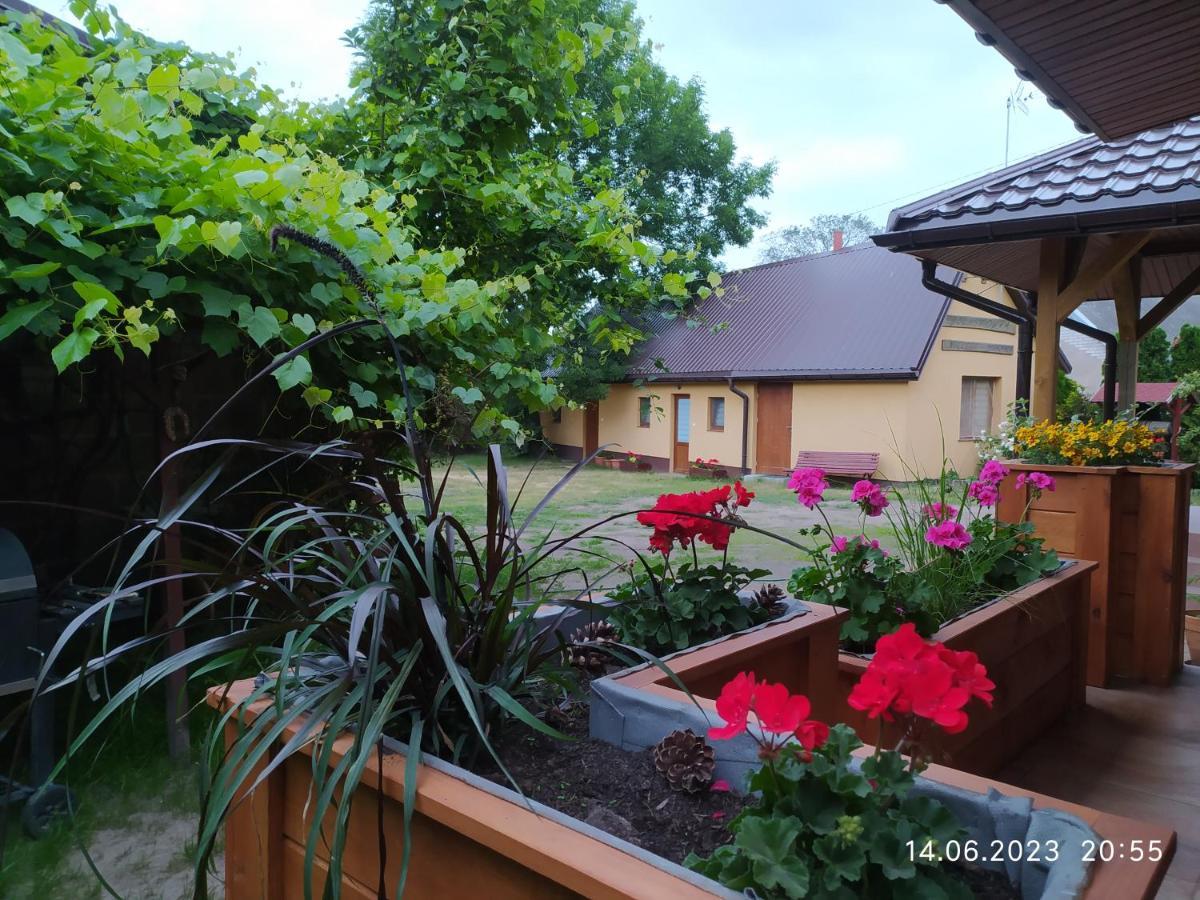Dolistowka Apartamenty, Pole Namiotowe, Balia Z Jacuzzi, Ogrod Warzywny Dla Gosci, Plac Zabaw Dla Dzieci Goniadz Exterior photo