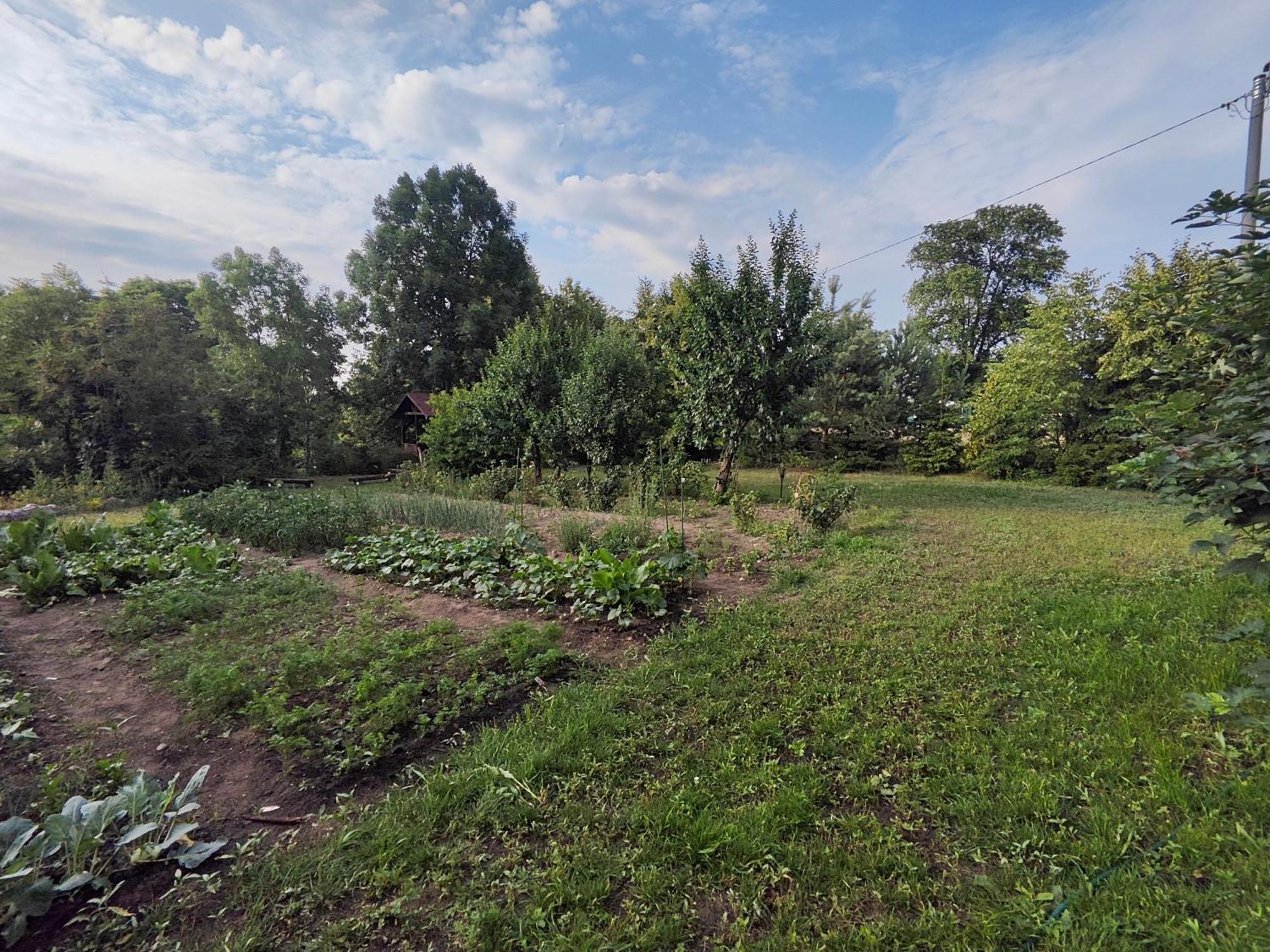 Dolistowka Apartamenty, Pole Namiotowe, Balia Z Jacuzzi, Ogrod Warzywny Dla Gosci, Plac Zabaw Dla Dzieci Goniadz Exterior photo