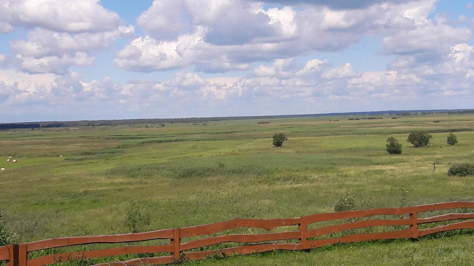 Dolistowka Apartamenty, Pole Namiotowe, Balia Z Jacuzzi, Ogrod Warzywny Dla Gosci, Plac Zabaw Dla Dzieci Goniadz Exterior photo