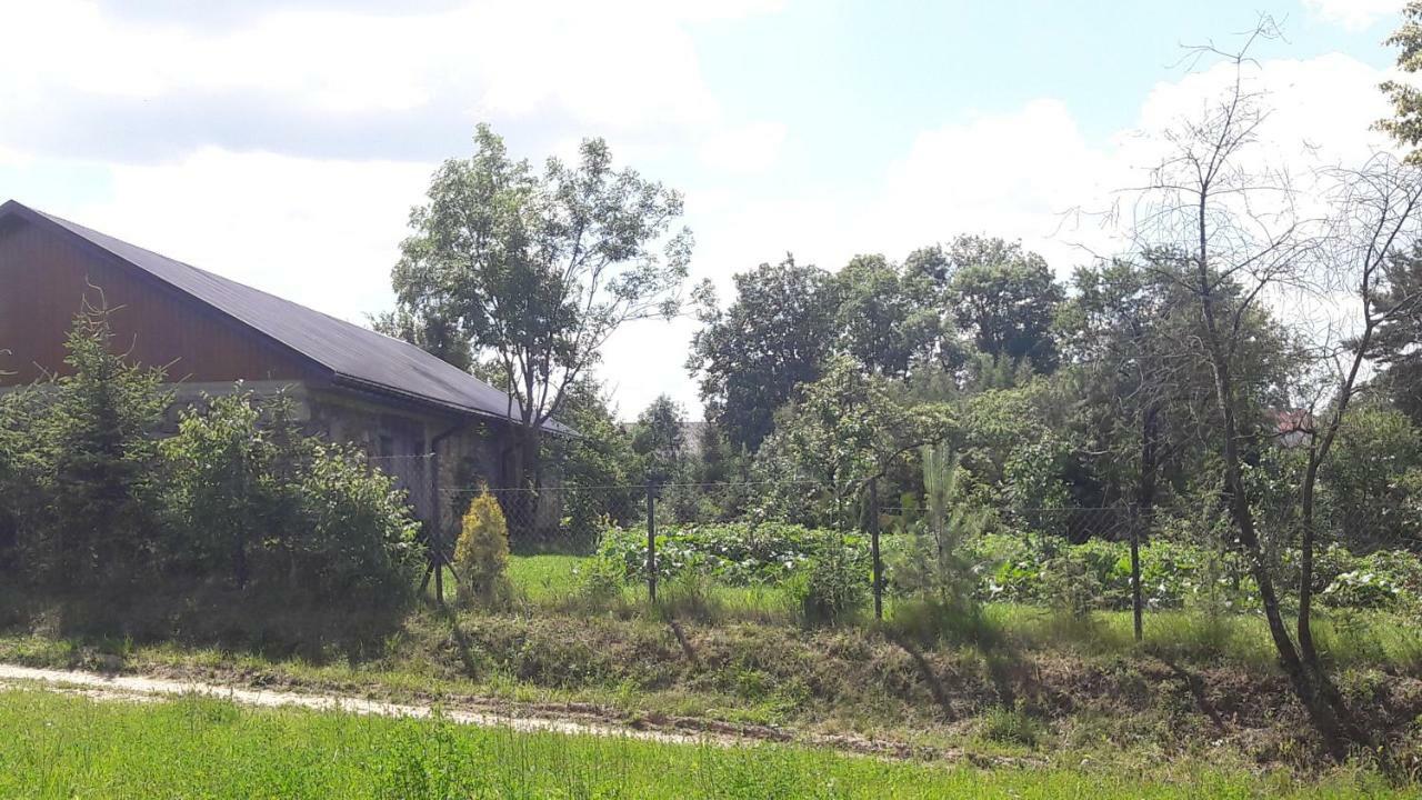 Dolistowka Apartamenty, Pole Namiotowe, Balia Z Jacuzzi, Ogrod Warzywny Dla Gosci, Plac Zabaw Dla Dzieci Goniadz Exterior photo