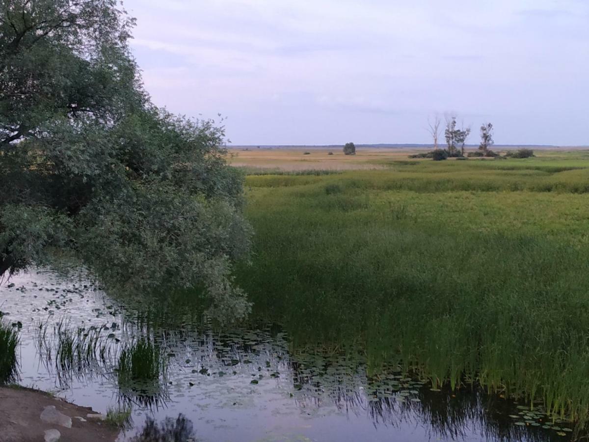 Dolistowka Apartamenty, Pole Namiotowe, Balia Z Jacuzzi, Ogrod Warzywny Dla Gosci, Plac Zabaw Dla Dzieci Goniadz Exterior photo